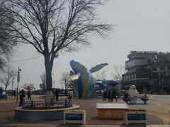 -海合安青岛极地海洋公园