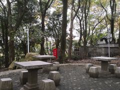 -上海佘山国家森林公园天马山园