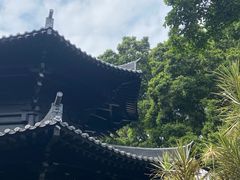-荔湾湖公园