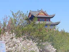 -樱花山风景区
