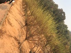 -南国桃园旅游度假区