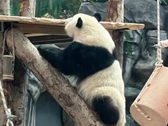 -武汉动物园