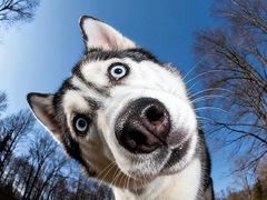 -明月东一酒店·菲斯特自助餐厅