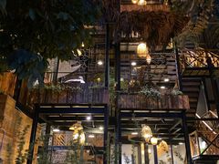 -Rainforest