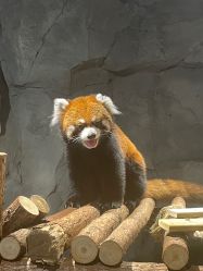 -Zoolung Zoolung动物主题公园(海信广场店)