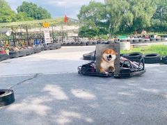 -骉神卡丁车赛车俱乐部