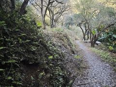 -广州市石门国家森林公园