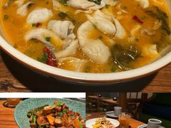 -YAFEE雅菲·粤菜·湘菜·融合菜(魏公村店)