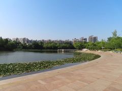 -新江湾城公园