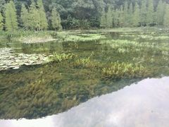 -广州市石门国家森林公园