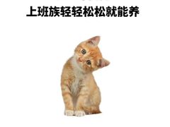 -纳吉亚猫专科动物医院博雅分院