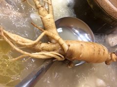 -朴小妹人参鸡汤火锅(长白山万达店)