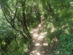 -阳台山自然风景区