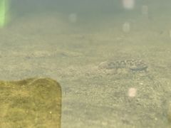 -共青国家森林公园-售票处