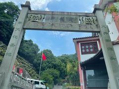 -十八棵（老龙井）御茶园(老龙井店)
