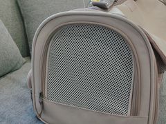 -宠爱国际动物医院·消化内科·心肾内科·ISFM猫友好(望京店)