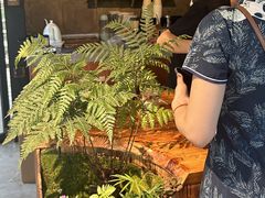 -南国桃园旅游度假区