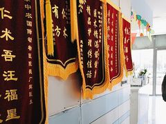 -中农国际动物医院24小时·猫科·骨科·急重症中心