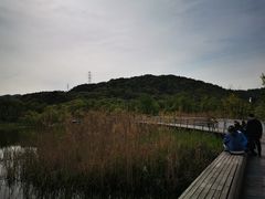 -西湖风景区-江洋畈生态公园