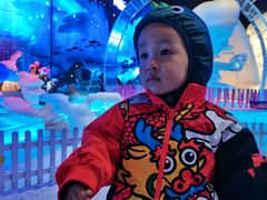 -海合安成都极地海洋公园