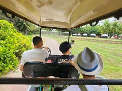 -海南清水湾莱佛士酒店