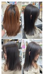-东方麒麟·潘多拉SALON