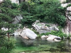 -无染寺