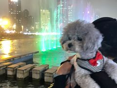 -秋水广场音乐喷泉