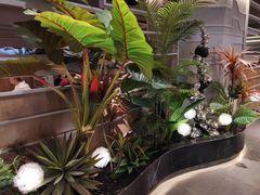 -湊湊火锅·茶憩(皇姑万象汇店)