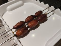 烤蚕蛹-丰茂烤串(金源店)