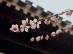 -三里河公园
