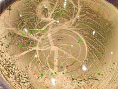 -COACH蔻驰(星光68广场店)