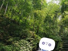 -常德桃花源景区
