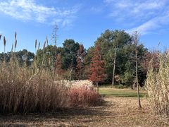 -昆山城市生态森林公园