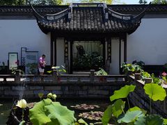 -上海醉白池公园