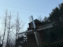 -阿哈湖国家湿地公园