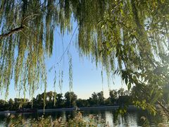 -北门涮肉·炭火铜锅涮肉(什刹海店)