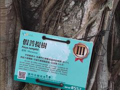-龙环葡韵住宅式博物馆