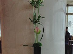 -上海明天广场JW万豪酒店