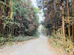 -和顺古镇