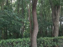 -同里国家湿地公园