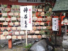 -野宫神社