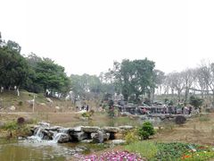 -东莞植物园