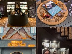 -雪灵魔法世界SHELLY’S TAROT(大良桂畔里店)