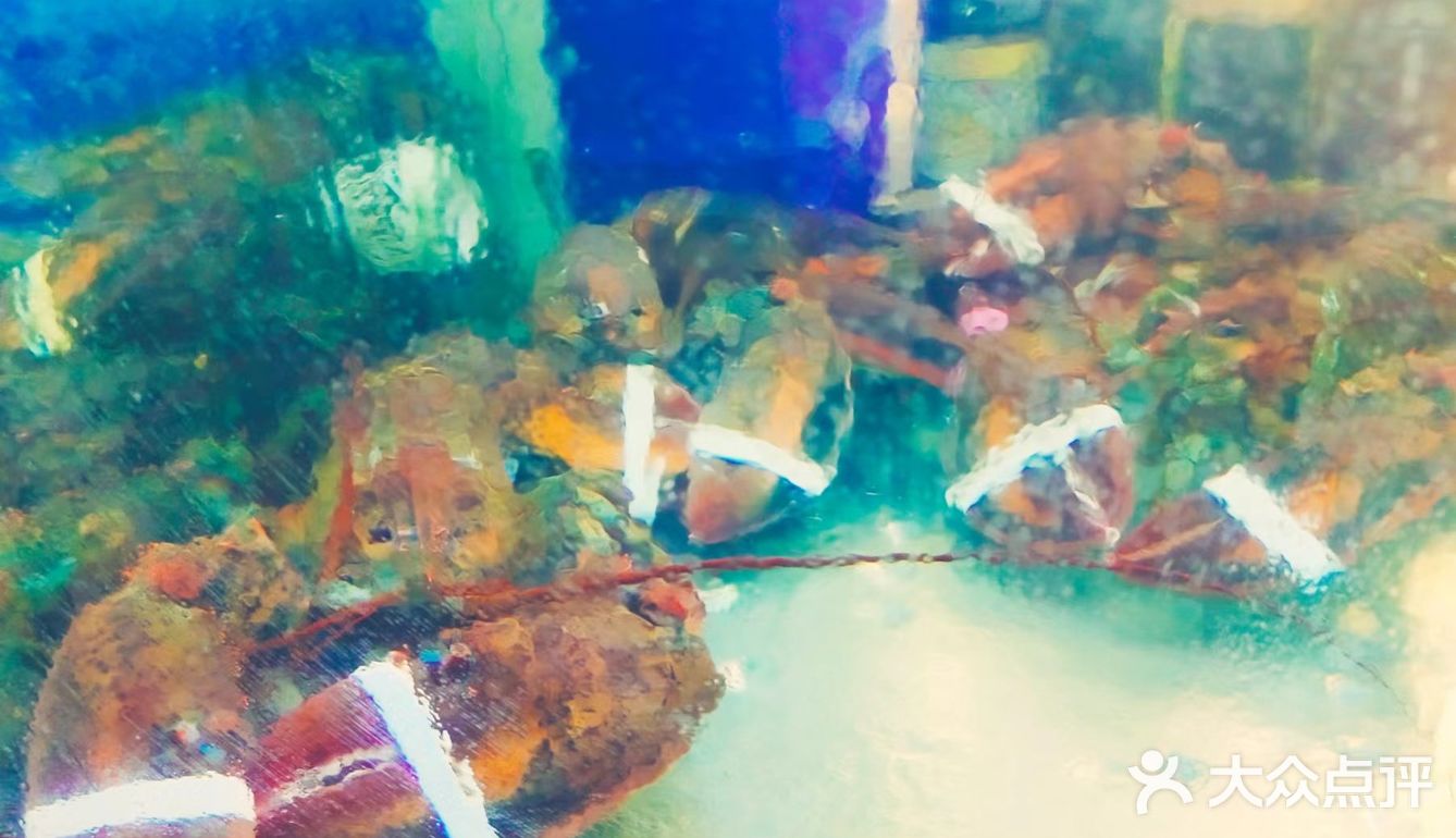 喜欢吃海鲜的宝子们绝对不能错过的一家超赞的海鲜大排档