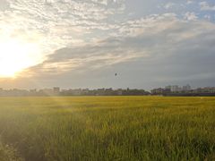 -低涌(地铁站)