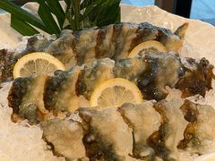 -纯味斑鱼府(中海环宇荟店)