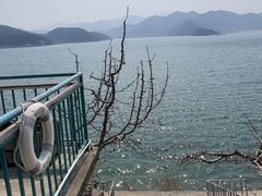 -望湖烤鱼