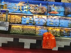 -大东海海鲜酒楼(渔人码头总店)