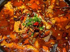 -大鸭梨烤鸭店(花园村店)